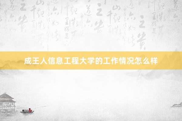 成王人信息工程大学的工作情况怎么样