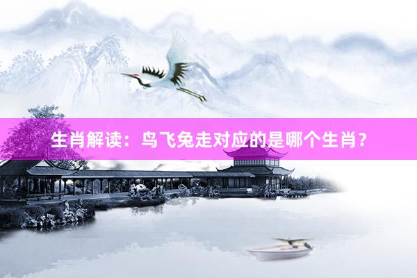生肖解读：鸟飞兔走对应的是哪个生肖？